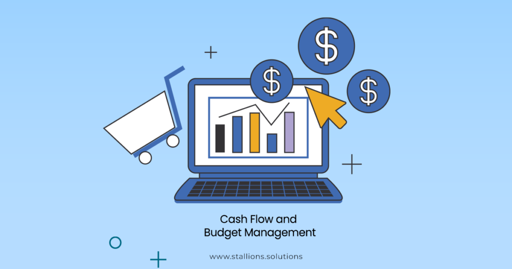 Comprehensive Cash Flow and Budget Management